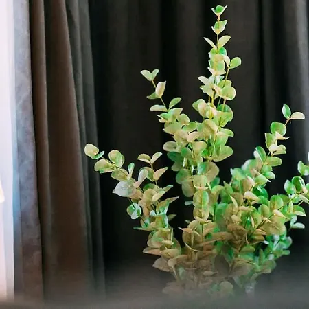 Lakeside Olti Near Interlaken