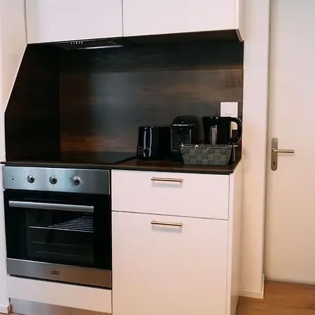 Apartment Lakeside Olti Near Interlaken Bonigen