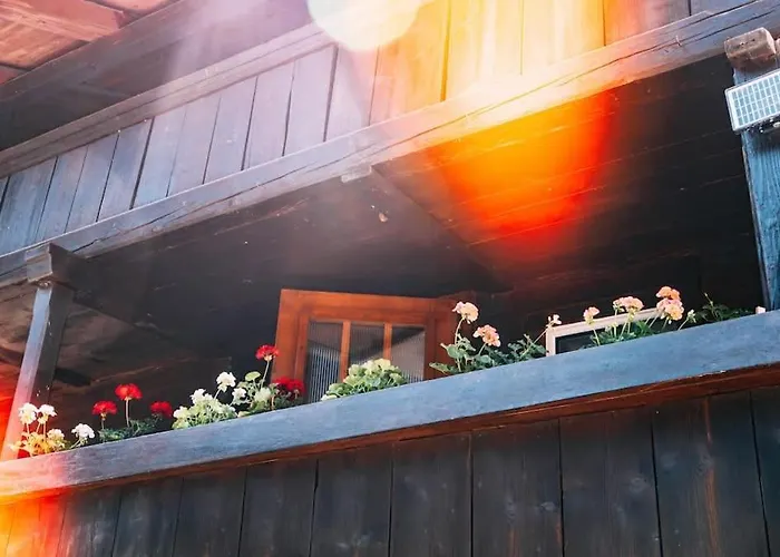 Lakeside Olti Near Interlaken 公寓