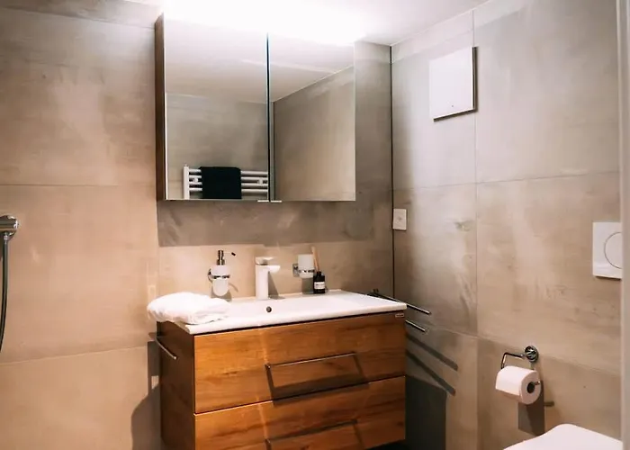 公寓 Lakeside Olti Near Interlaken *