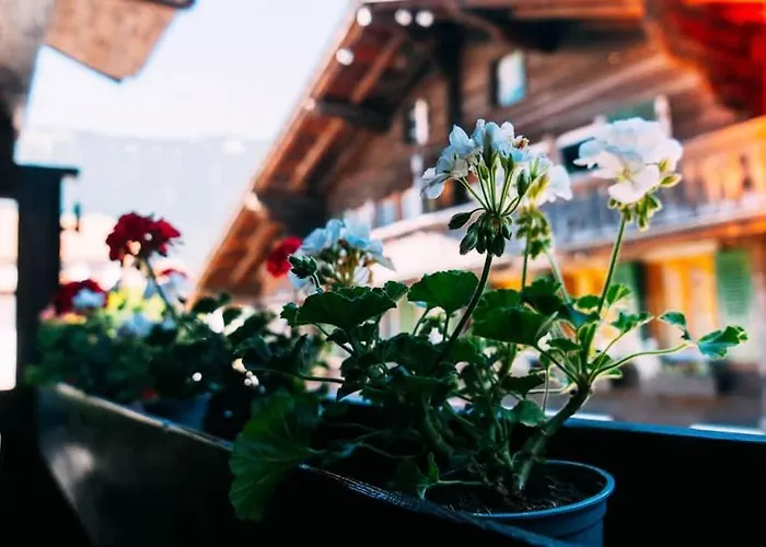 Lakeside Olti Near Interlaken *