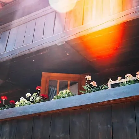 Lakeside Olti Near Interlaken Appartamento