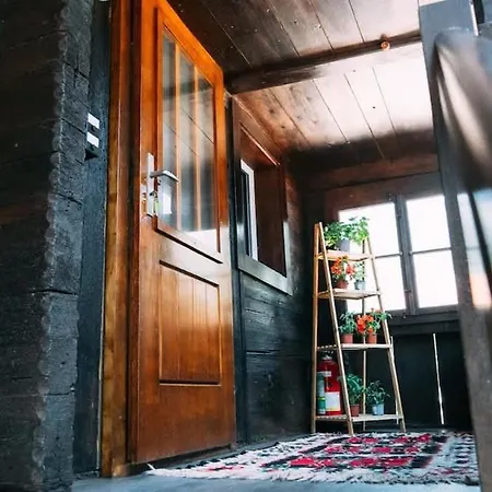 Lakeside Olti Near Interlaken Appartamento Bönigen